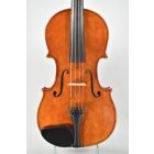 Darius Maestro viola 41,5cm