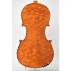 Darius Maestro viola 41,5cm