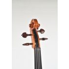 Darius Maestro viola 41,5cm