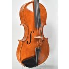 Darius Maestro viola 41,5cm