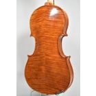 Darius Maestro viola 41,5cm