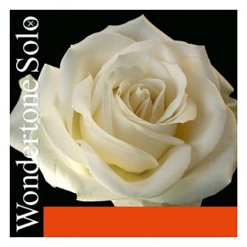   Pirastro Wondertone Solo szintetikus hegedűhúr  SET  E-BALL MITTEL ENVELOPE