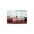 Mute violin/viola Alpin Professional 