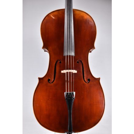 Darius workshop cello
