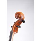 Darius műhely cselló