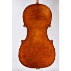 Darius Artist cello