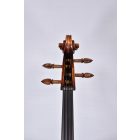 Darius Artist cello