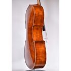 Darius Artist cello