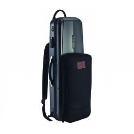 GL Carbon violin oblong case