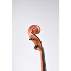 GEWA Maestro 6 workshop violin