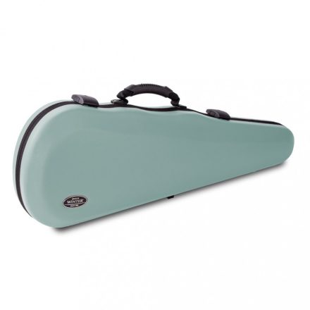 Winter  Violin shaped case , STONE 1,65 kg