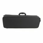 Winter light Violin oblong case 3/4