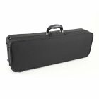 Winter light Violin oblong case 4/4