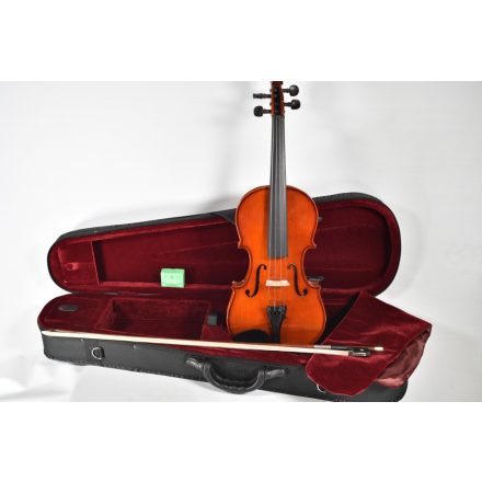 Darius Shop violin set with form shaped case YB40, 4/4 quality strings