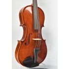 Darius Shop viola Set 38 cm