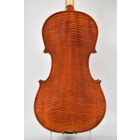 Darius Shop viola Set 38 cm