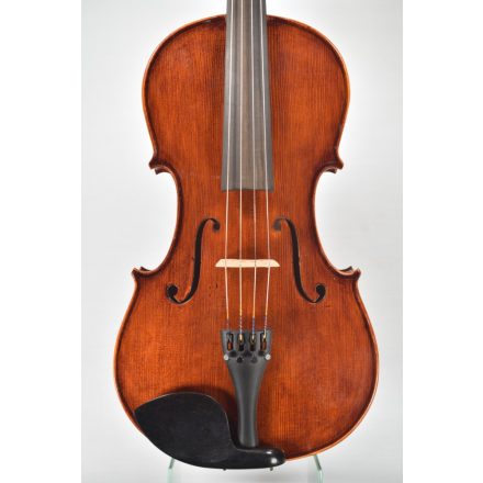 Darius Shop viola Set 39,5 cm