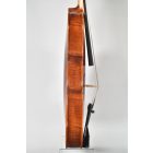 Darius Shop viola Set 39,5 cm