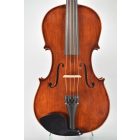 Darius Shop viola Set 40,5cm