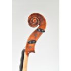 Darius Shop viola Set 40,5cm