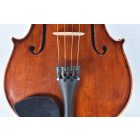 Darius Shop viola Set 42cm