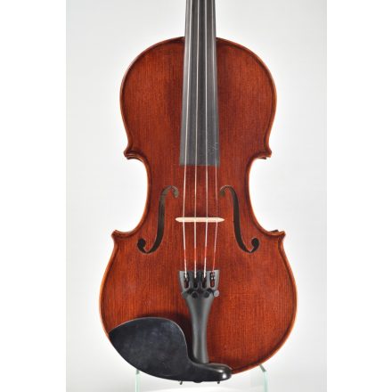 Darius Shop violin set form case YB60 4/4 + Quality string Set