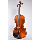 Darius master violin 4/4